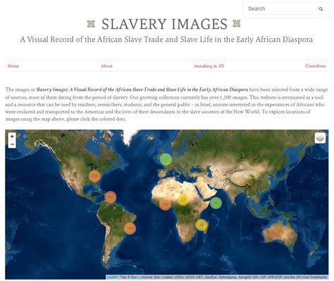 slave-selection|Atlantic slave trade